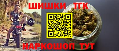 МДПВ Тара